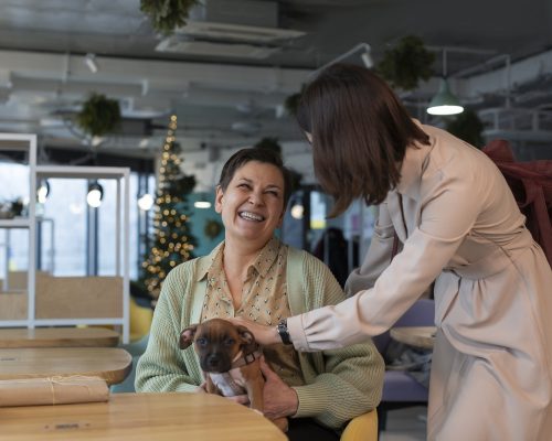 Provision of Care in Specialist Disability Accommdation